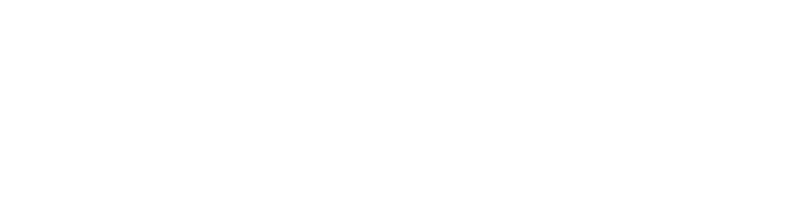 GEM_logo_reversed